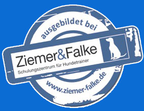 Ziemer & Falke Ausbildung